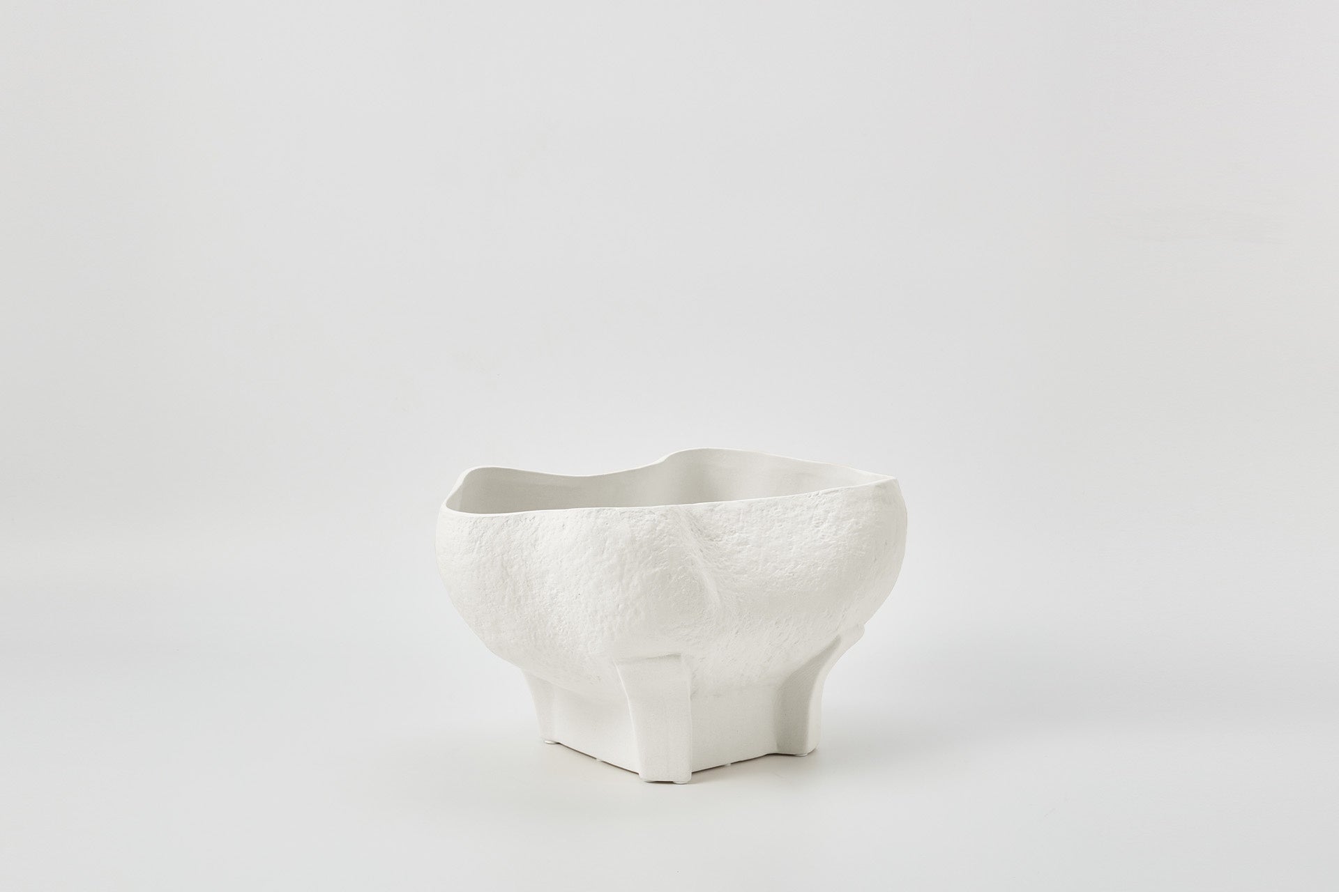 The Conch bowl is the perfect accent piece that showcases a refined organic form.  texture surace. Ivory colour.