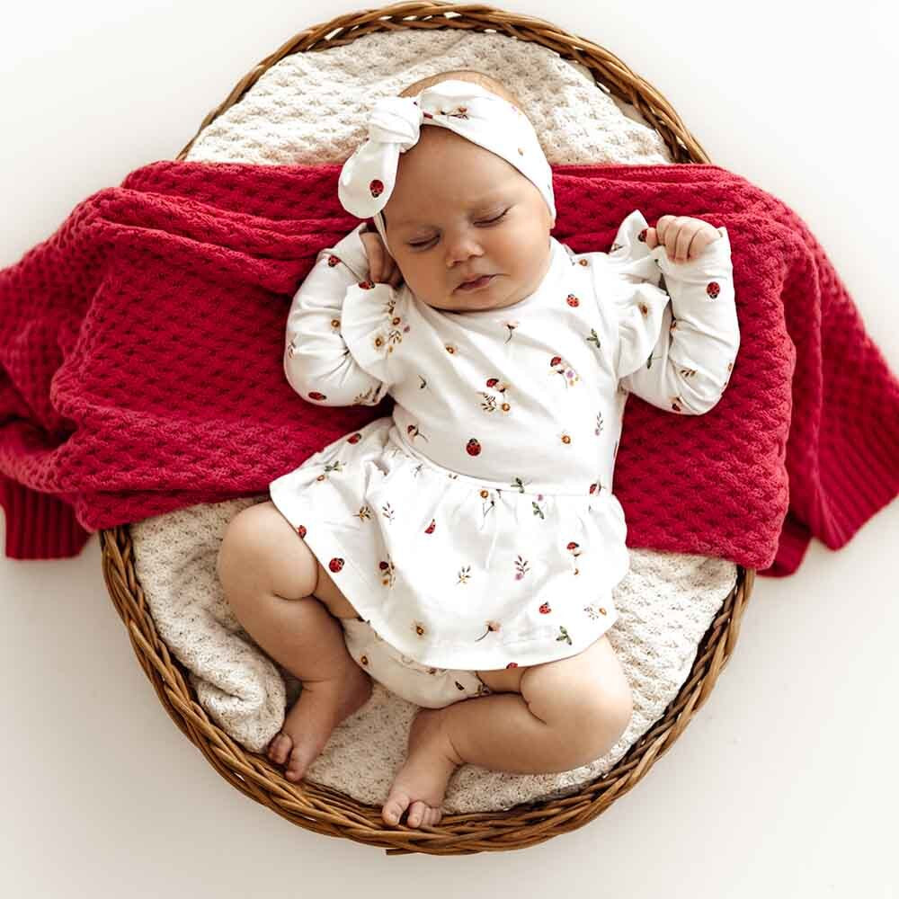 Ladybug Long Sleeve dress 0-3 months