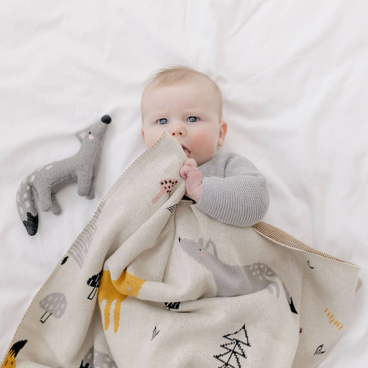 Freddie Fox Blanket
