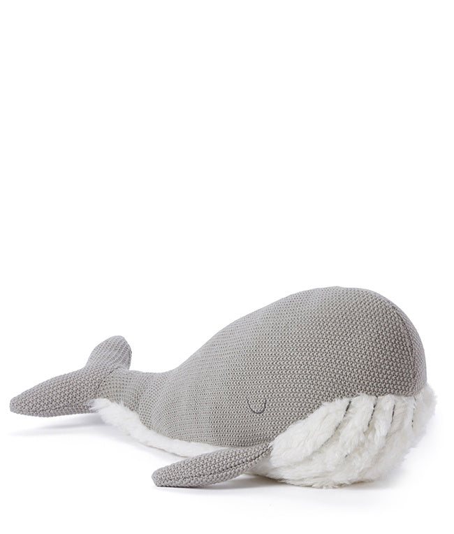 Wanda Whale