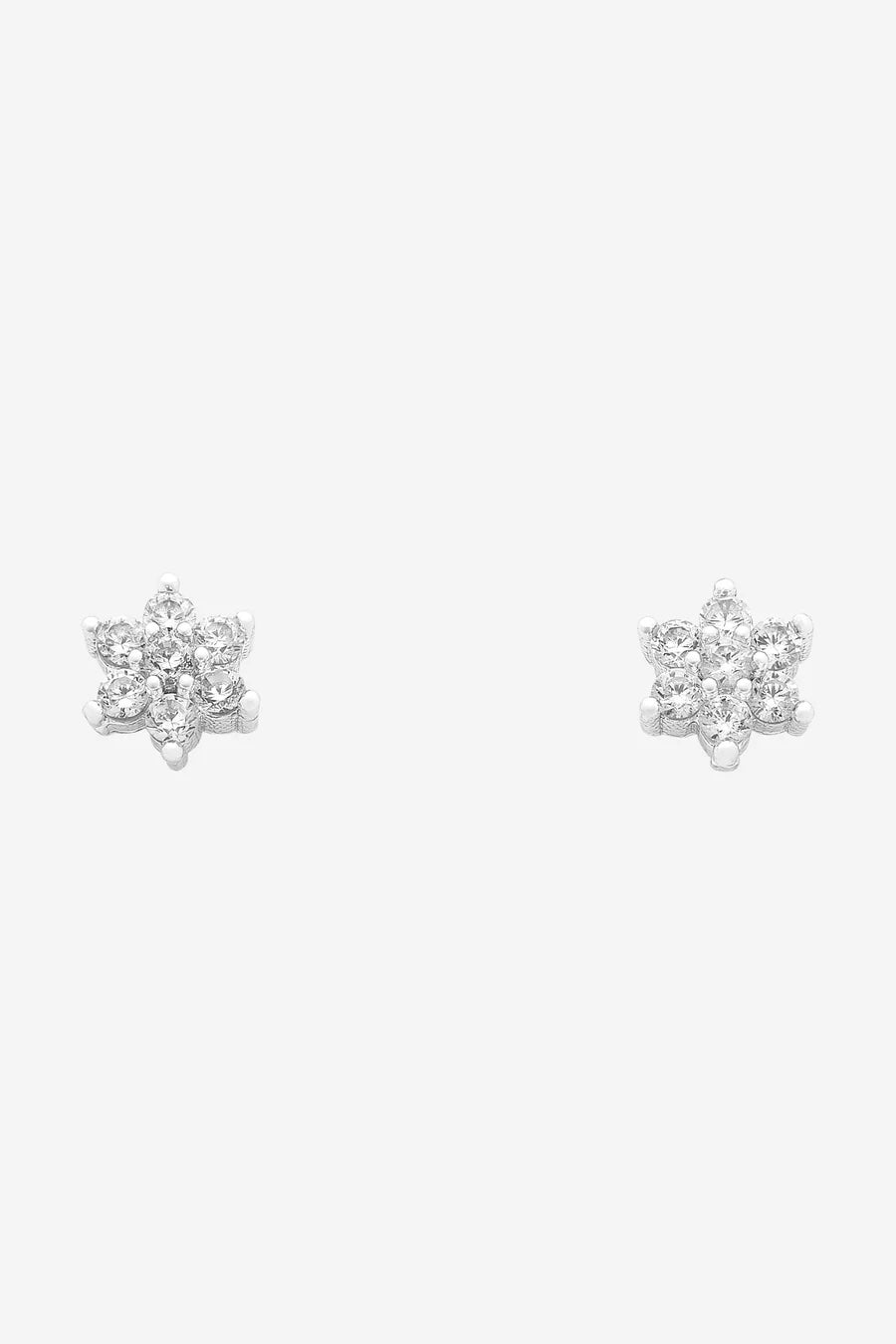 Petal Earrings Silver