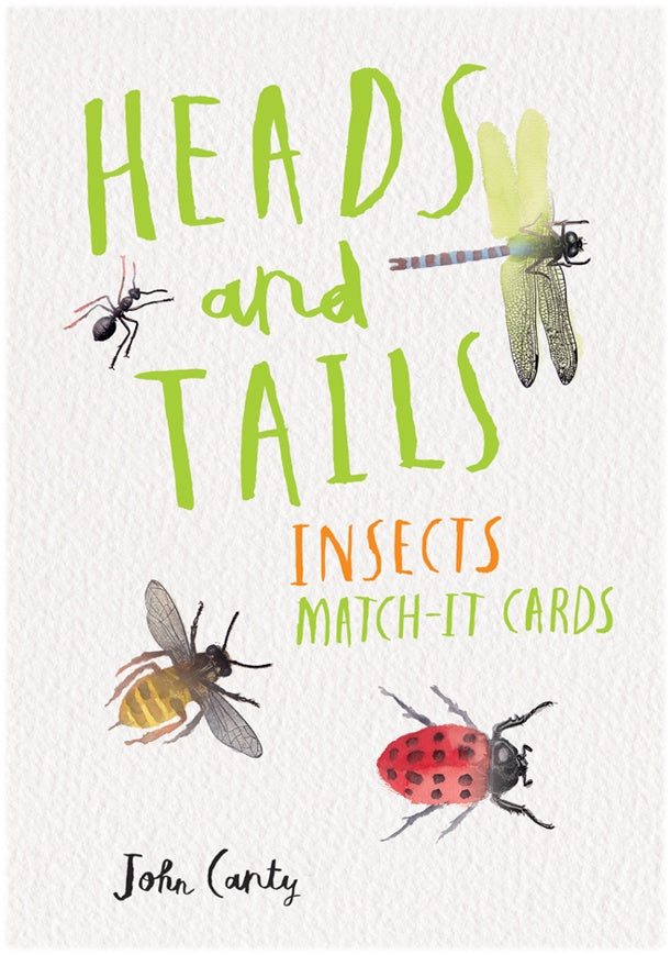 Heads and tails insects match it cards
